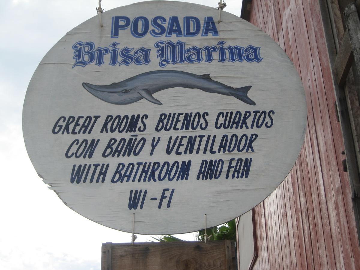 Хостел Posada Brisa Marina Зиполите Экстерьер фото